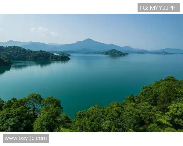 探索3D真人解太湖1234的奥秘与魅力,带你领略自然与科技的完美结合